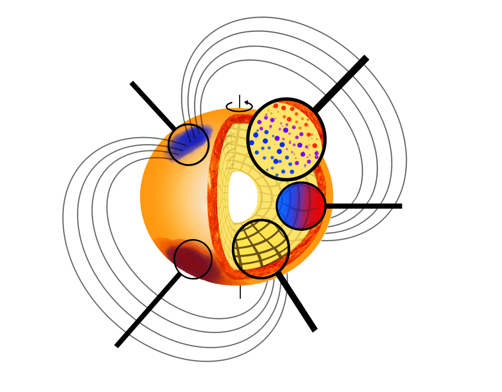 Schematic diagram of rapidly pulsating star